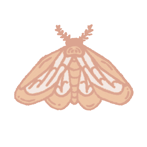 moth gif